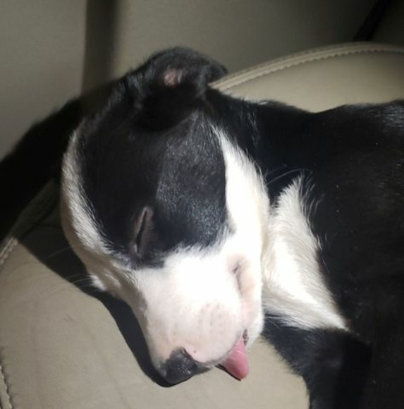 Profile Picture of Marcos Savedra (@marcossavedra) on Poshmark