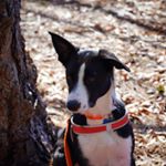 Profile Picture of Paul Thomann (@paulthomann1) on Instagram