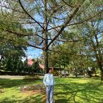 Maria Gersina Gurusinga - Instagram Profile Picture of Maria Gersina Gurusinga (@maria_grssss) on Instagram