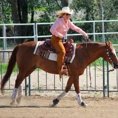 Profile Picture of Nancy Hersh (@NLHersh) on Twitter