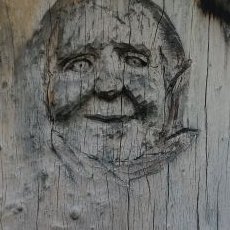 Profile Picture of Kelli Carter-Terry (@Kkeelllli) on Twitter