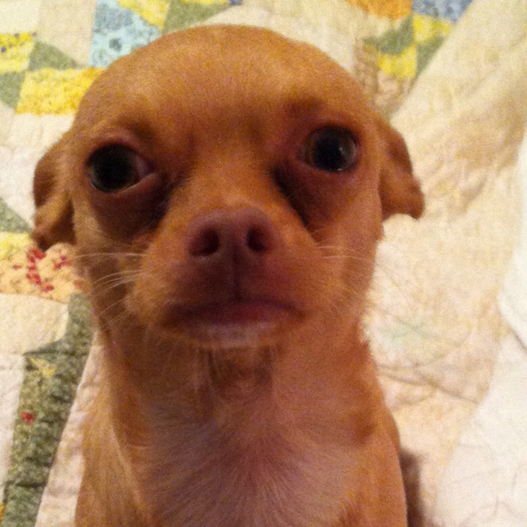 Profile Picture of Linda Tryder (@lat10865) on Poshmark