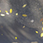 Profile Picture of A Maze Me (@a maze me) on Flickr