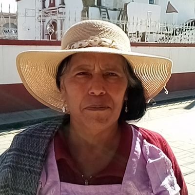 Profile Picture of María Elena Calixto García (@MaraElenaCalix2) on Twitter