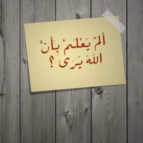 Profile Picture of Omar Elabd (@OmarEla85767329) on Twitter