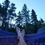 Profile Picture of albertaking (@albertaking) on Instagram