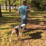 Profile Picture of Bob Lienhop (@boblienhop) on Instagram