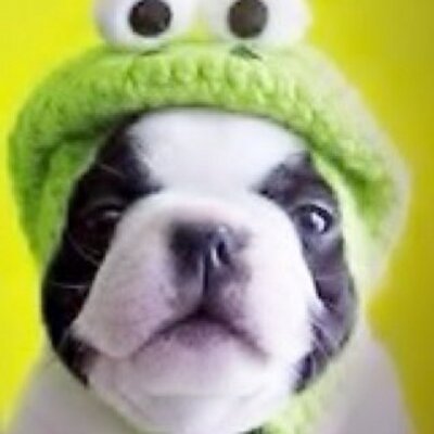 Profile Picture of Andrew Coster (@CosterAndrew) on Twitter
