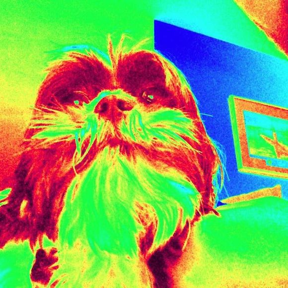 Profile Picture of Albert Fish (@nadergus88) on Poshmark