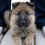 Profile Picture of Reich Lance (@Reich-Lance) on Facebook