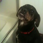 Profile Picture of Chris Pfaus (@pfpdx) on Instagram