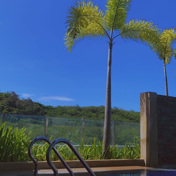 Profile Picture of Joelle Uy (@jodevinee) on Poshmark