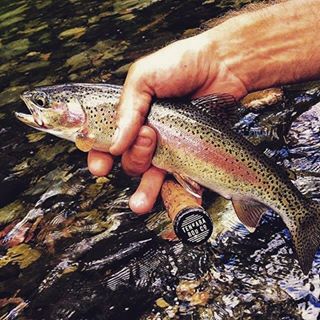 Profile Picture of Damon Gignac (@damon.gignac) on Facebook