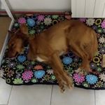 Profile Picture of Richard Zelinka (@zeldarichard) on Instagram