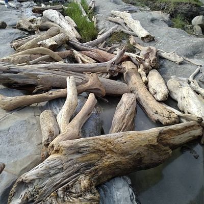 Profile Picture of Karl Lin (@karllin_tw) on Twitter