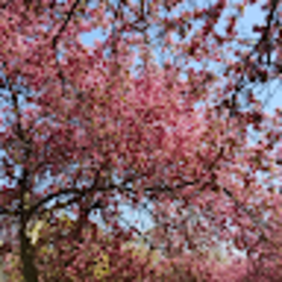 Profile Picture of Emmanuel Lim (@saintbart1pm) on Poshmark