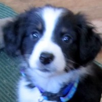 Profile Picture of Eric Brewer (@eric-brewer-9) on Quora