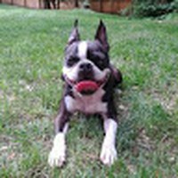Profile Picture of Matthew Macisaac (@matthew-macisaac-12) on Quora