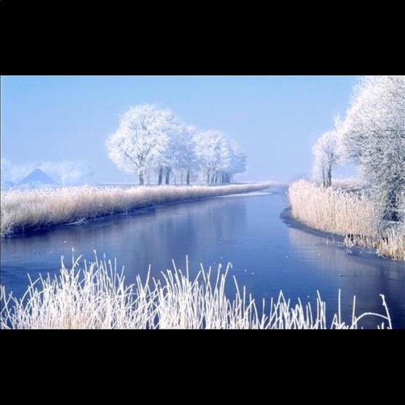 Profile Picture of Jacqueline Carlota (@jcarlota) on Poshmark