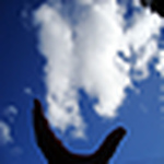 Profile Picture of Amadeo Chaar (@perromondo!) on Flickr