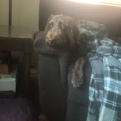 Profile Picture of Love Howell (@lovehowell1291) on Youtube