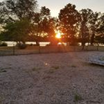 Profile Picture of Claire Mohr-Gray (@78saltydog) on Instagram