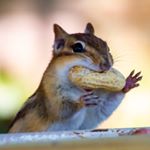 Profile Picture of Matthew Berard (@mb__photographs) on Instagram