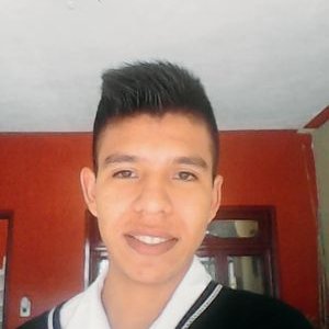 Profile Picture of Alejandro Canchola (@Alv_Can) on Twitter