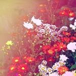 Profile Picture of Christine Parvin (@christine.parvin) on Instagram