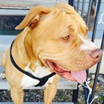 Profile Picture of Eva Mota (@eva.mota27) on Instagram