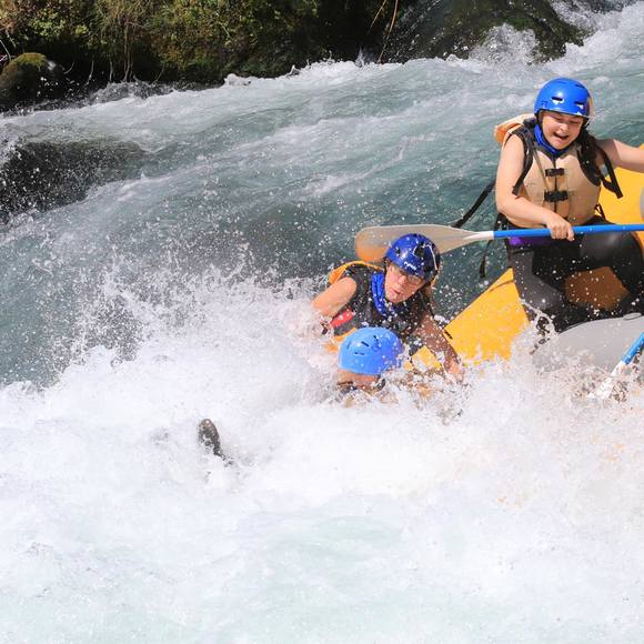 Profile Picture of Lisa Waiblinger zauner (@lzauner) on Poshmark