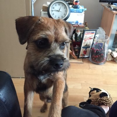 Profile Picture of Chris Betteridge (@chrisbetteridg7) on Twitter