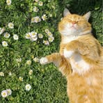 Profile Picture of Charlotte Benoît (@charlotte.benoit.129117) on Facebook