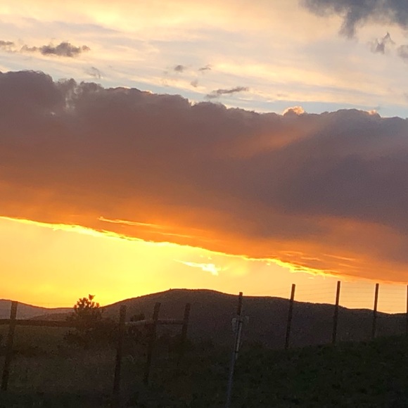 Lillian Sheahan - Poshmark Profile Picture of Lillian Sheahan (@lilliansheahan) on Poshmark