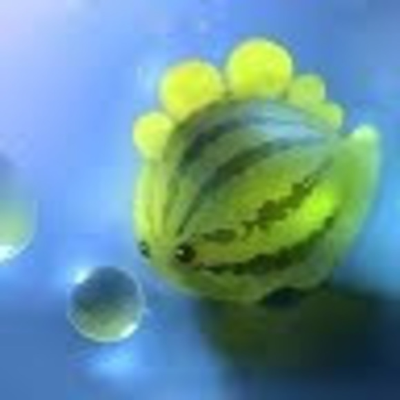 Profile Picture of Ceej Zmudzinski (@callil137) on Poshmark