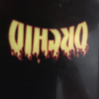 Profile Picture of Kathy Colbert (@Kathy-Colbert) on Facebook