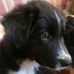Profile Picture of Edith Popp (@edith.popp.1) on Facebook