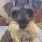 Profile Picture of Michelle Jeffries (@michellej2611) on Instagram