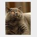 Profile Picture of Gene Burke (@eugenewiley2791) on Pinterest