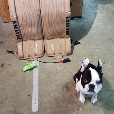 Profile Picture of Cubro (@Cubro35) on Twitter