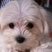 Profile Picture of Meredith Pearlstein Shapiro (@meredith.p.shapiro) on Facebook
