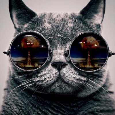 Profile Picture of Benjamin Rowlands (@bkrowlands) on Twitter