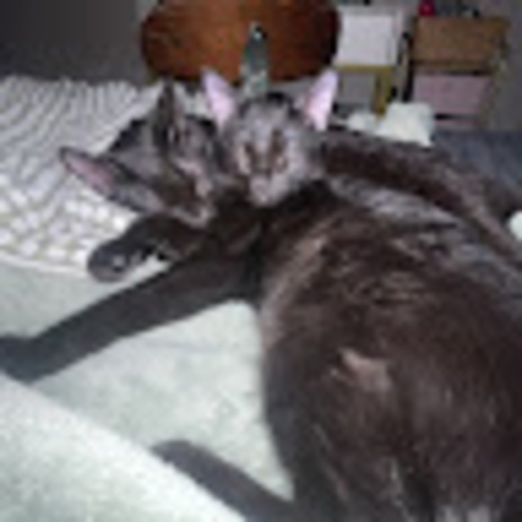 Profile Picture of Ryleigh Kleisner (@625267) on Poshmark