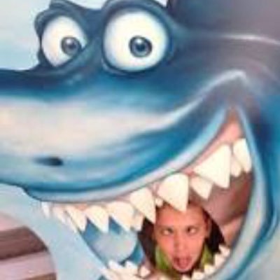 Profile Picture of Bob Swallows (@bobswallows) on Twitter