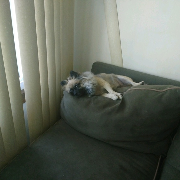 Profile Picture of Tinesha Knox (@tineshaknox) on Poshmark