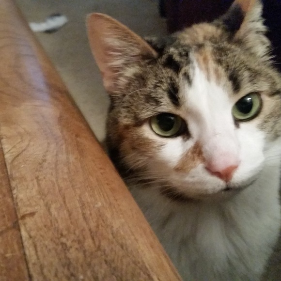 Profile Picture of Robert Hofert (@roberthofert) on Poshmark