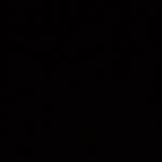 Profile Picture of Rowan Smith (@rowansmith_studio) on Instagram