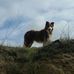 Profile Picture of Cisco Douglas (@cisco.douglas) on Facebook