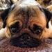 Profile Picture of John Jackowski (@johnjackowski2) on Pinterest