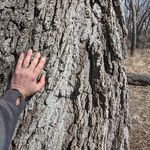 Profile Picture of Brett Christian Brinkmeyer (@thunderbrett) on Instagram